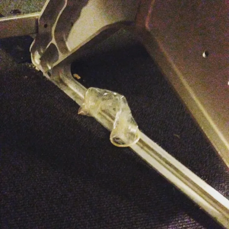 STJUARDESE PODIJELILE GNJUSNE PRIZORE: Zapele u avionu s odbojnim i nekulturnim stvorovima