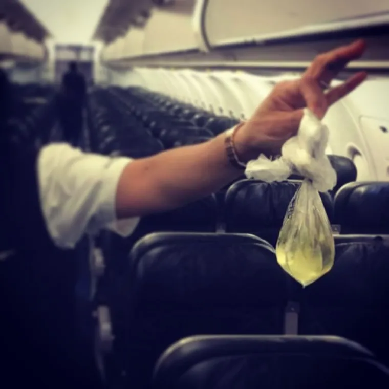 STJUARDESE PODIJELILE GNJUSNE PRIZORE: Zapele u avionu s odbojnim i nekulturnim stvorovima