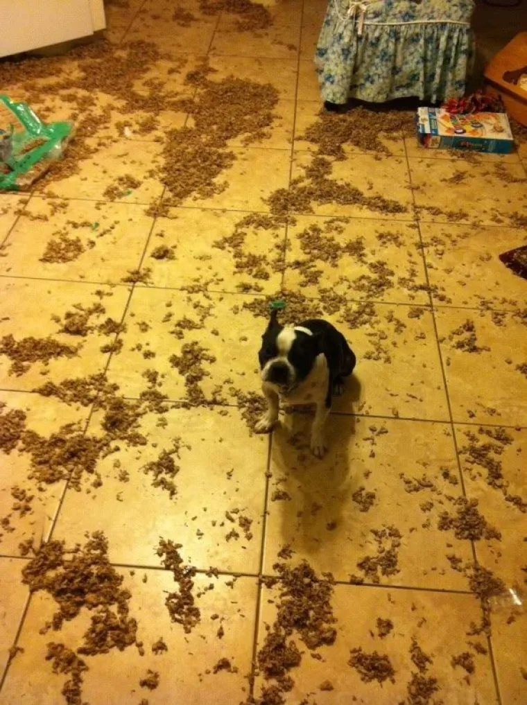 Mama, večeras ja častim večerom!