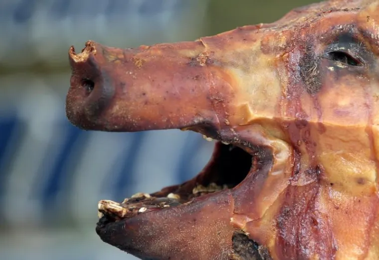 U ZAGREB STIGLE TALIJANSKE DELICIJE: Izgledaju slasno, ali cijene su paprene