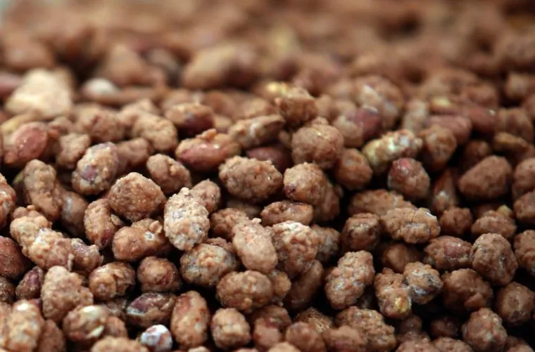 U ZAGREB STIGLE TALIJANSKE DELICIJE: Izgledaju slasno, ali cijene su paprene