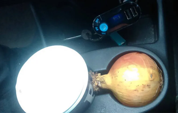 NOVA VRSTA PORNOGRAFIJE NIJE BA&Scaron; ZA SVE: Klinci pronalaze bizarne načine zabave