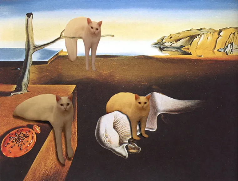 POLUMAČKA KOJA JE ZABAVILA SVIJET: Smije&scaron;na fotka inspirirala ljude na jo&scaron; smje&scaron;nije fotomontaže