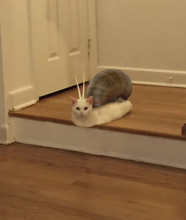 POLUMAČKA KOJA JE ZABAVILA SVIJET: Smije&scaron;na fotka inspirirala ljude na jo&scaron; smje&scaron;nije fotomontaže