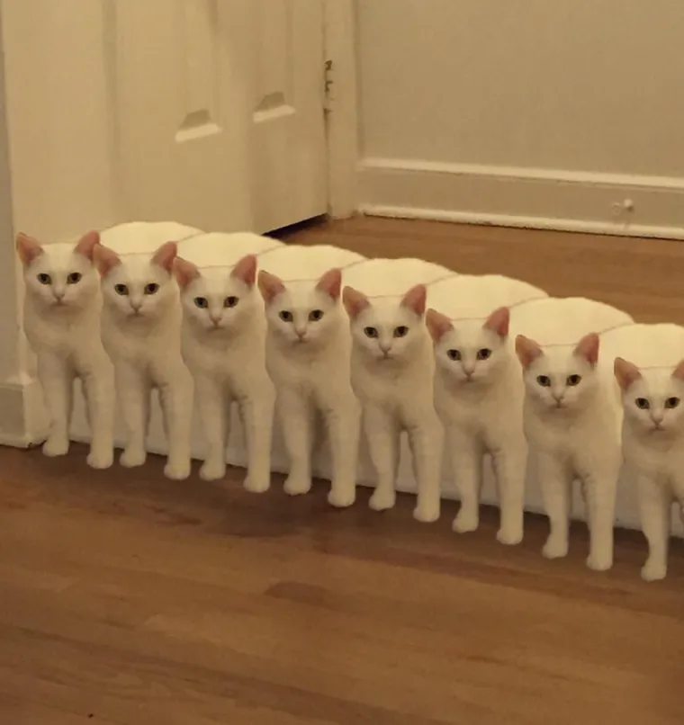 POLUMAČKA KOJA JE ZABAVILA SVIJET: Smije&scaron;na fotka inspirirala ljude na jo&scaron; smje&scaron;nije fotomontaže