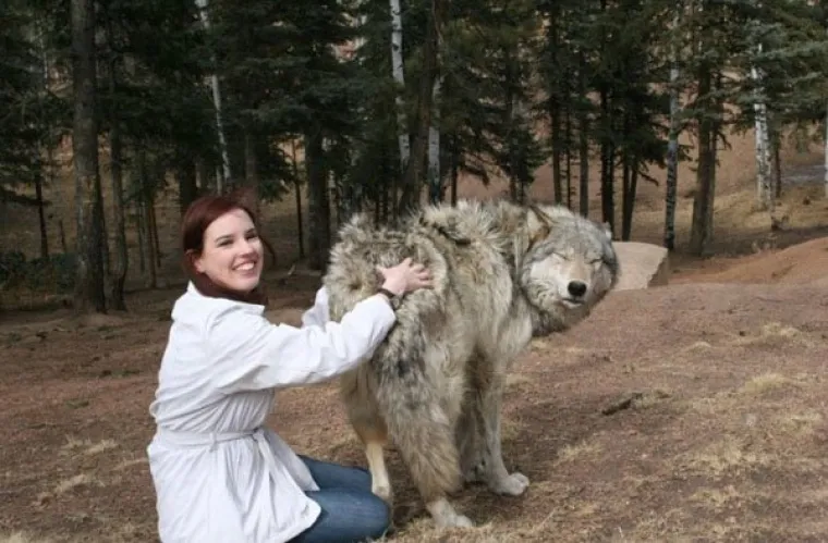 ČINILE SU SE KAO SAVR&Scaron;ENE CURE, A ONDA... Dečki kažu da ove djevojke imaju ozbiljnih problema