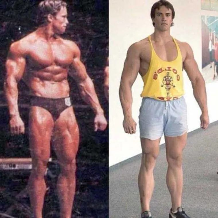Pitanje je i što misli Schwarzenegger