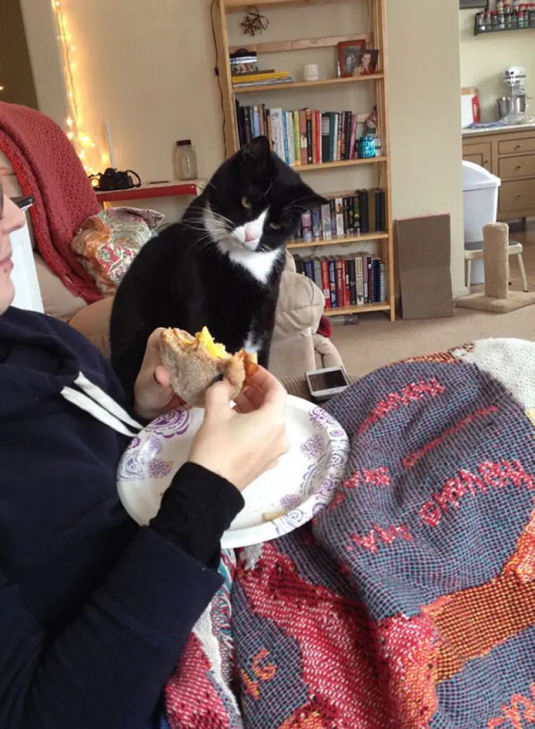 JEZIVE FOTKE LJUBIMACA KOJI SAMO ŽELE HRANU: Vlasnici snimili svoje životinje koje samo čekaju...