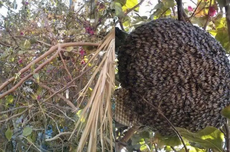 SAMO ZA NAJHRABRIJE: Proći će vas jeza od samog gledanja fotki, što bi tek bilo da ste tamo?
