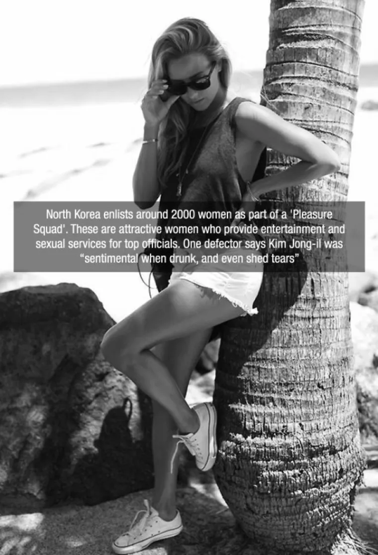 Sjeverna Koreja ima oko 2000 žena u tzv. 'Postrojbi za zadovoljsto'. To su privlačne žene koje pružaju visokim dužnosnicima zabavu i seksualne usluge. Jedan prebjeg kaže da je Kim Jong-il bio 'sentimentalan kad je bio pijan, a čak je znao i plakati'