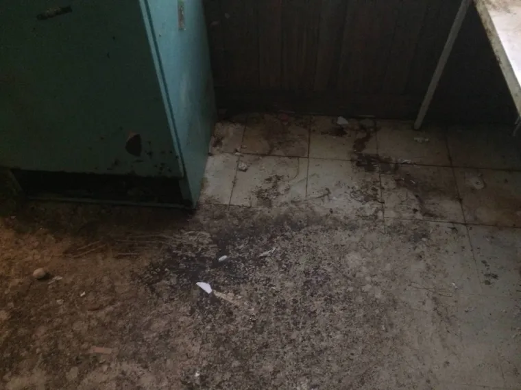 POTRESNA PRIČA U SLIKAMA: Ovako izgleda stan u kojem je 20 godina živio shizofreničar