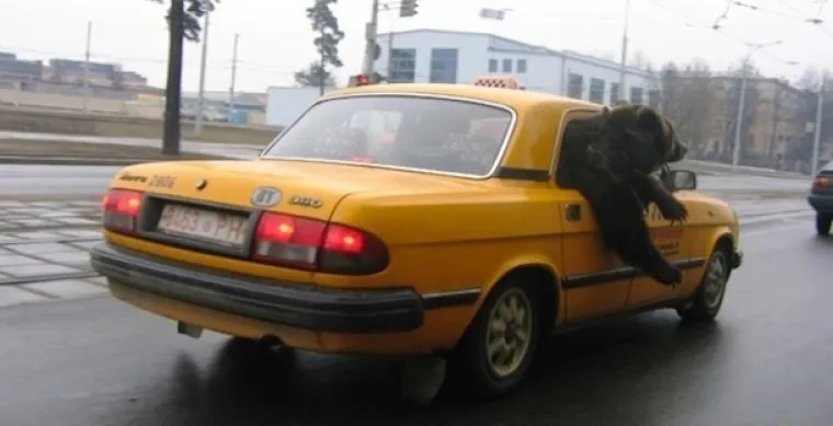 OVAKO ĆE HRVATSKA IZGLEDATI AKO NE&Scaron;TO NE PODUZMEMO: Lo&scaron;e nam se pi&scaron;e, evo &scaron;to nas čeka