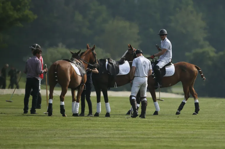 Joga u uskim bijelim hlačama: princa Williama ni&scaron;ta nije omelo u rastezanju prije polo utakmice