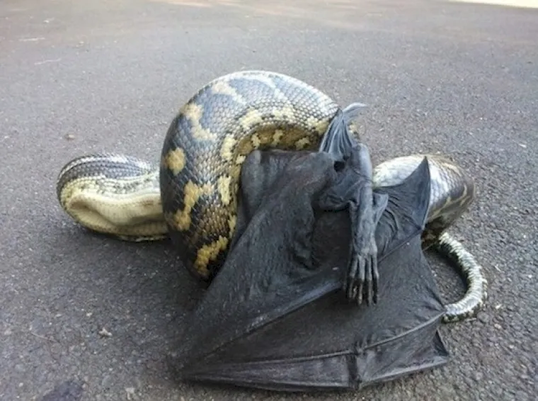 Sva sreća nisu svi željni va&scaron;e smrti...