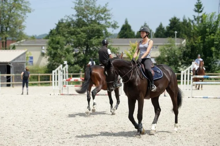 IDILA NA SJEVERU FRANCUSKE: Upoznajte biser Normandije, gradić koji je ovih dana živi uz Hrvatsku
