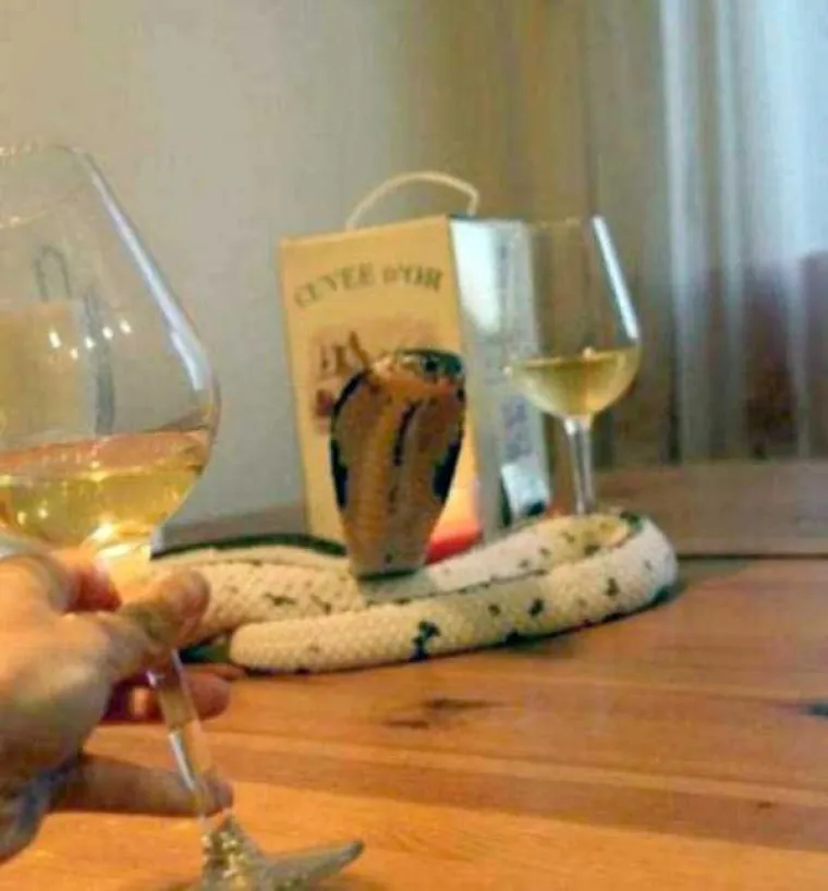 TE&Scaron;KO JE DANAS BITI SAMAC, a oni si ba&scaron; i ne olak&scaron;avaju stvar svojim pona&scaron;anjem