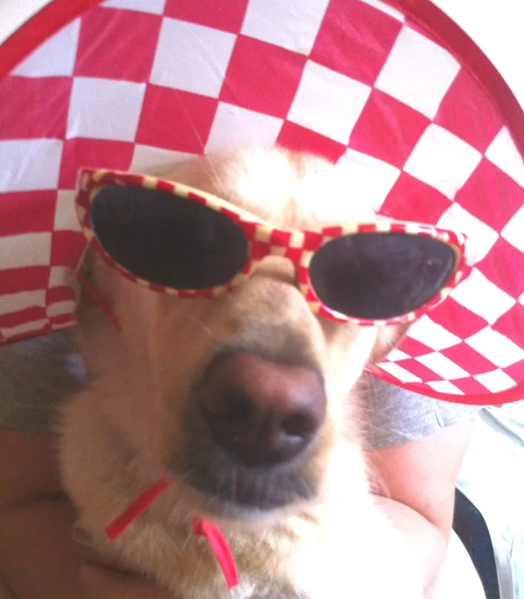 A ovo je Žuja. Njegov prijatelj.