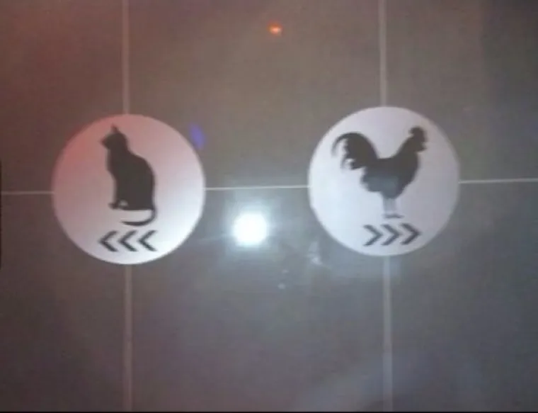 NEKI SU TOTALNA ZBUNJOLA: Kreativne oznake za WC zbog kojih biste mogli pogrije&scaron;iti vrata