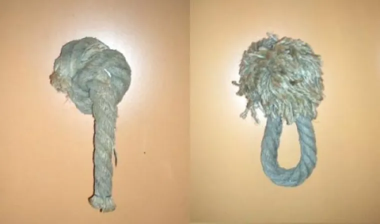 NEKI SU TOTALNA ZBUNJOLA: Kreativne oznake za WC zbog kojih biste mogli pogrije&scaron;iti vrata