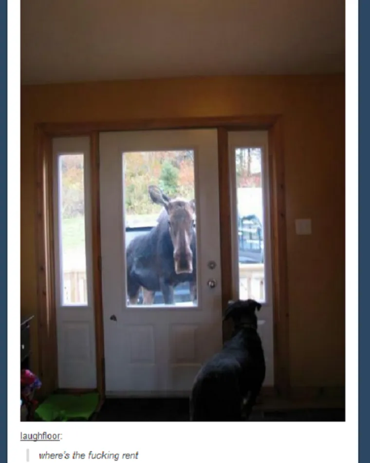 IAKO SE NI&Scaron;TA NE MOŽE MJERITI S RUSIJOM: Kanada je zemlja čuda. Urnebesnih čuda.