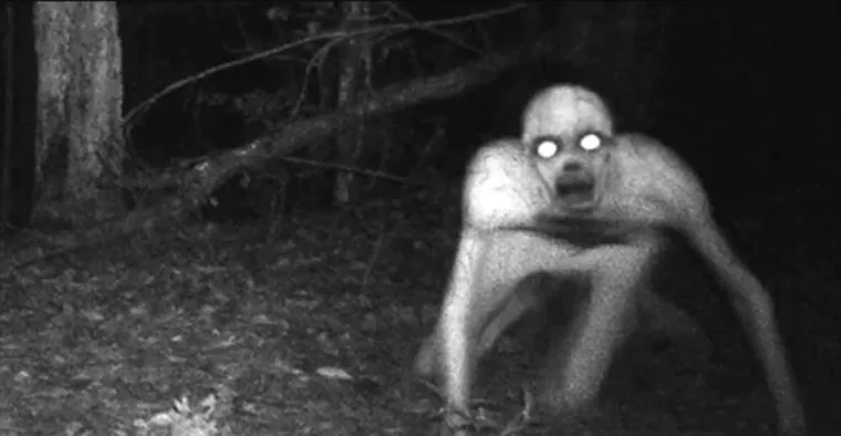 Grim je ime nadjenuto čudovi&scaron;tu kojeg je snimilo nekoliko prijatelja koji su kampirali. Je li riječ o izvanzemaljcu ili nekom drugom čudovi&scaron;te, ne zna se do dan danas.