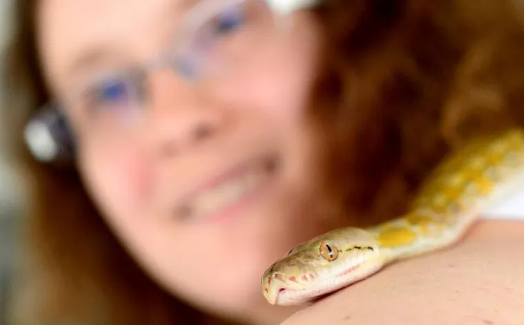 NEVJEROJATNE ZMIJURINE: Mrežasti i kraljevski piton u zagrebačkom Životinjskom kutku