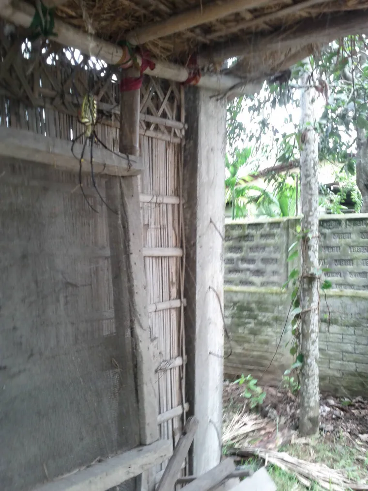 Na Redditu je osvanula slika pauka kojeg je jedan Australac uslikao u svojem dvori&scaron;tu. Njegova veličina najbolje se vidi na sljedećoj slici kada se može usporediti s veličinom palca. Pauk je navodno bezopasan za ljude, naravno ako izostavite rizik od infarkta kad ga vidite.