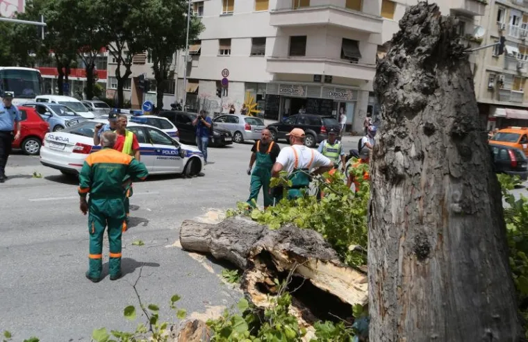 DRAMA U SPLITU: Jaki udari juga srušili stablo na policijsko vozilo