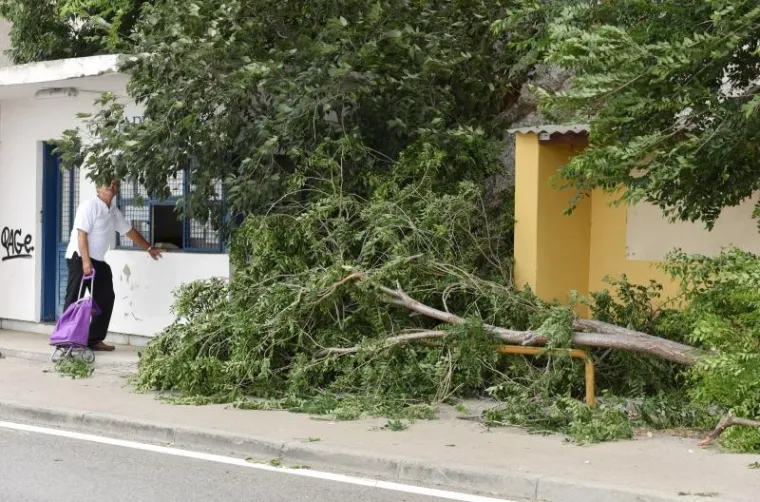 Jak olujni vjetar lomio stabla na šibenskoj rivi te prouzročio manje štete.