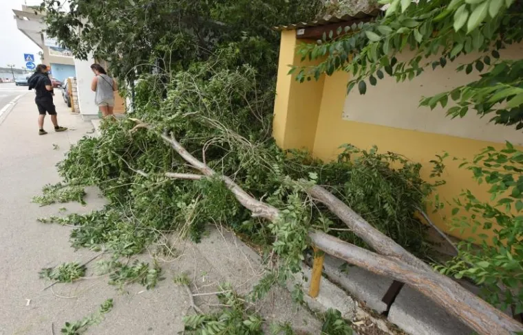 Jak olujni vjetar lomio stabla na &scaron;ibenskoj rivi te prouzročio manje &scaron;tete.