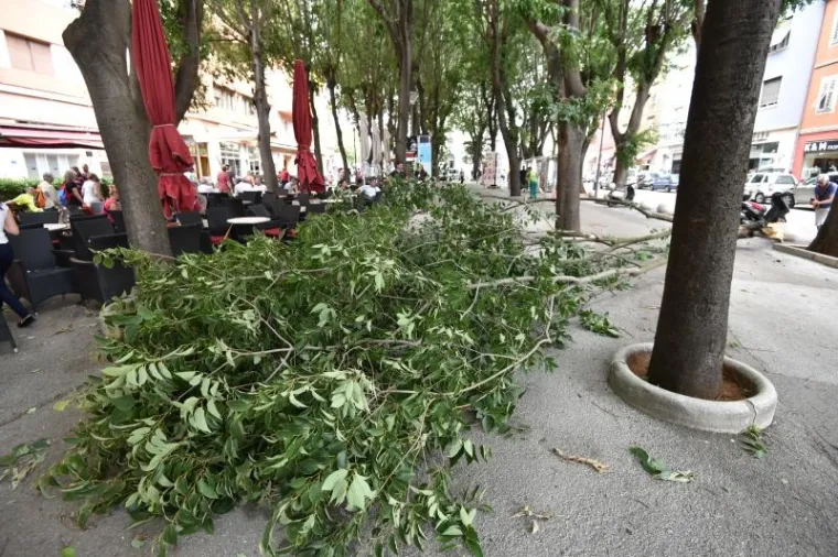 Na pulskim Giardinima danas je uslijed jakog vjetra ogromna grana odlomljena sa stabla te je pala tik uz stolove jednog od mnogobrojnih kafica koje se tu nalaze.