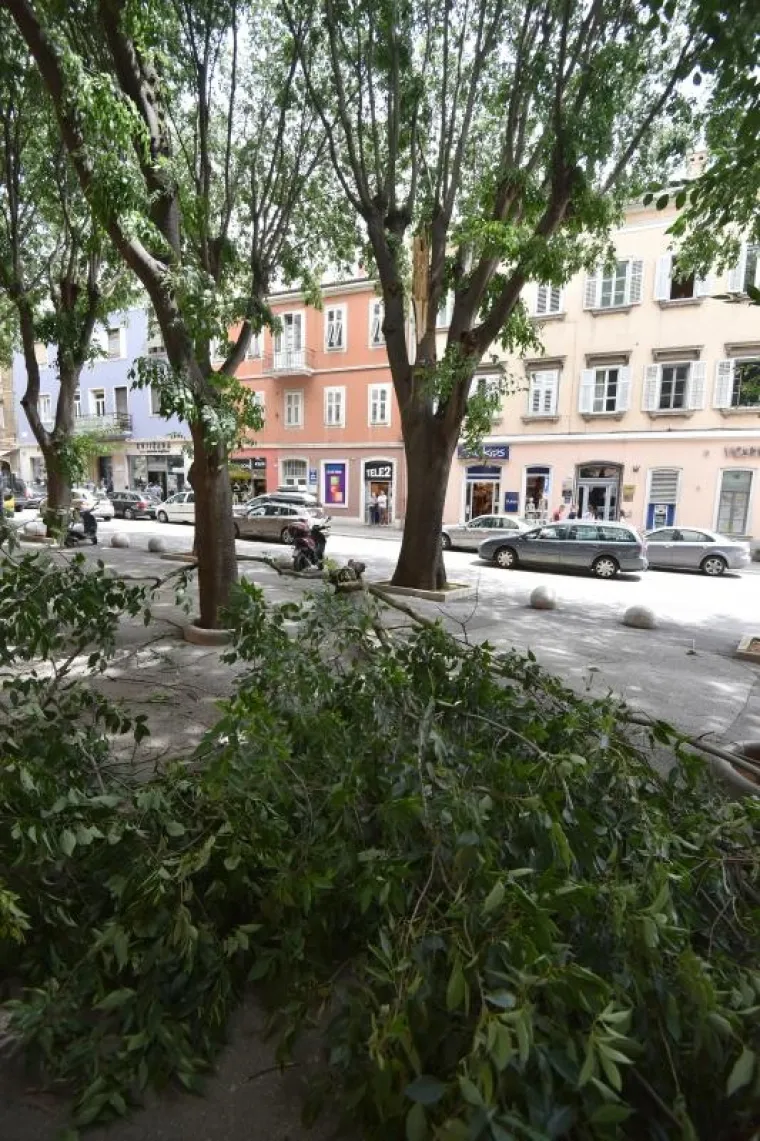 Na pulskim Giardinima danas je uslijed jakog vjetra ogromna grana odlomljena sa stabla te je pala tik uz stolove jednog od mnogobrojnih kafica koje se tu nalaze.