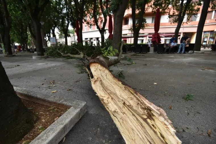 Na pulskim Giardinima danas je uslijed jakog vjetra ogromna grana odlomljena sa stabla te je pala tik uz stolove jednog od mnogobrojnih kafica koje se tu nalaze.
