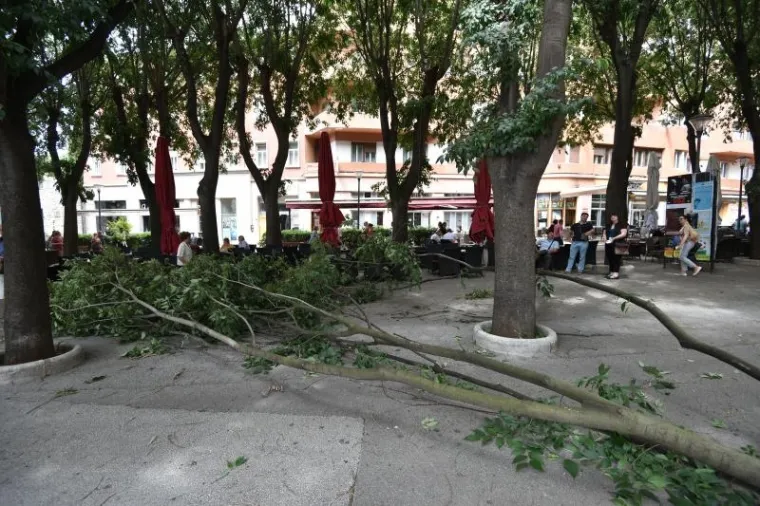 Na pulskim Giardinima danas je uslijed jakog vjetra ogromna grana odlomljena sa stabla te je pala tik uz stolove jednog od mnogobrojnih kafica koje se tu nalaze.