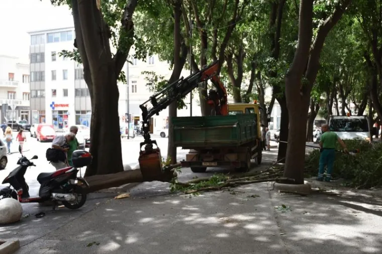 Na pulskim Giardinima danas je uslijed jakog vjetra ogromna grana odlomljena sa stabla te je pala tik uz stolove jednog od mnogobrojnih kafica koje se tu nalaze.