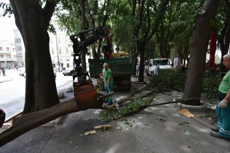 Na pulskim Giardinima danas je uslijed jakog vjetra ogromna grana odlomljena sa stabla te je pala tik uz stolove jednog od mnogobrojnih kafica koje se tu nalaze.
