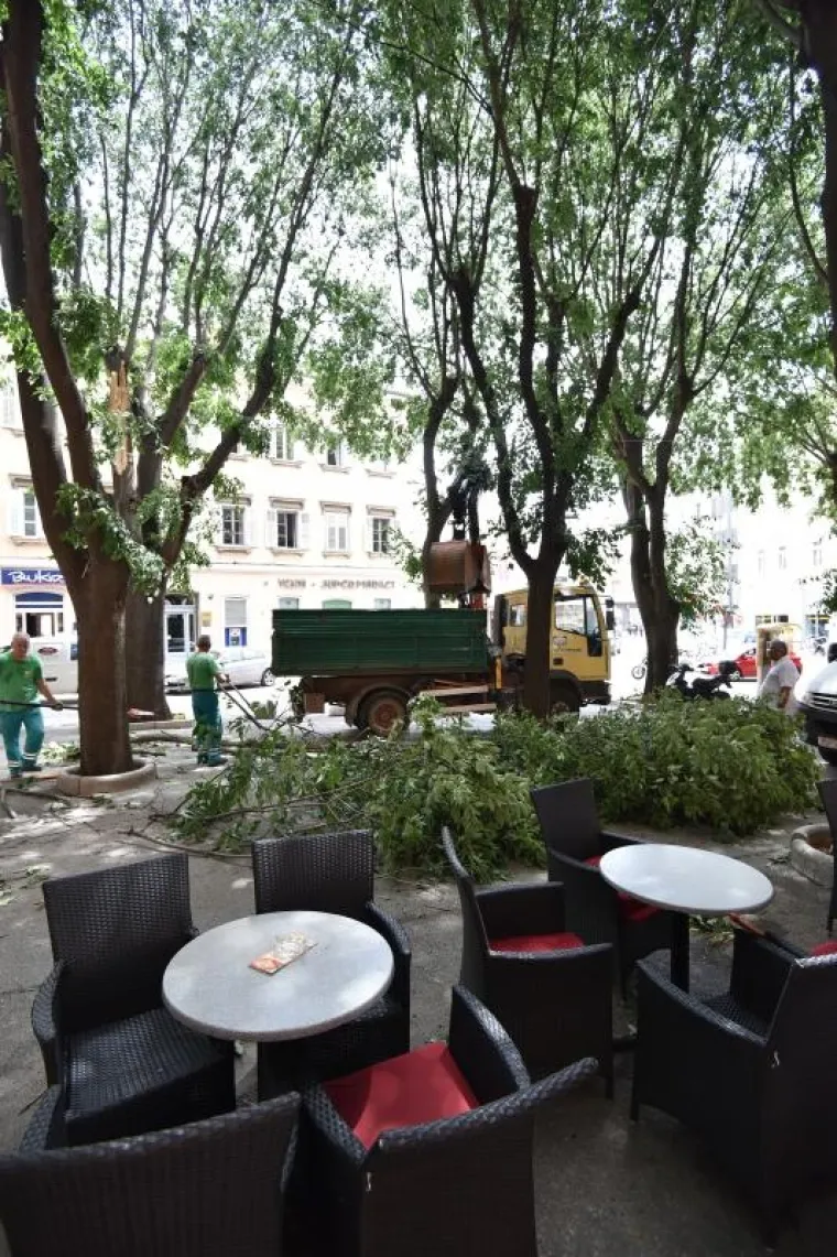 Na pulskim Giardinima danas je uslijed jakog vjetra ogromna grana odlomljena sa stabla te je pala tik uz stolove jednog od mnogobrojnih kafica koje se tu nalaze.