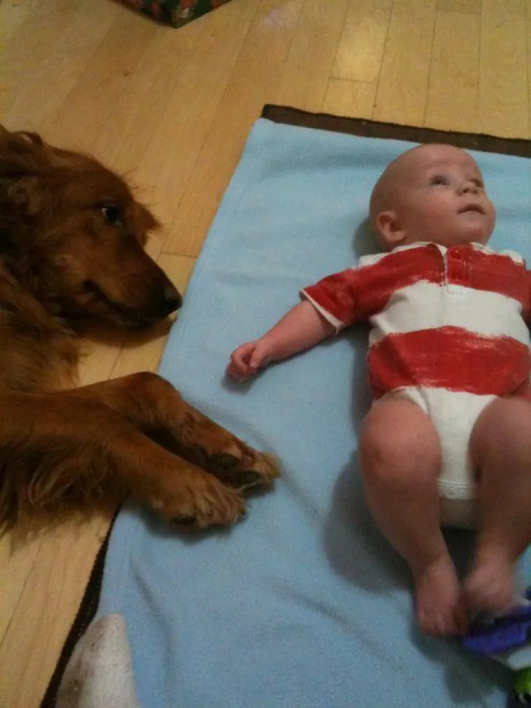 PRESLATKE FACE KOJE ĆE RIJE&Scaron;ITI SVE VA&Scaron;E PROBLEME: Zlatni retriveri idealna su terapija ba&scaron; za sve