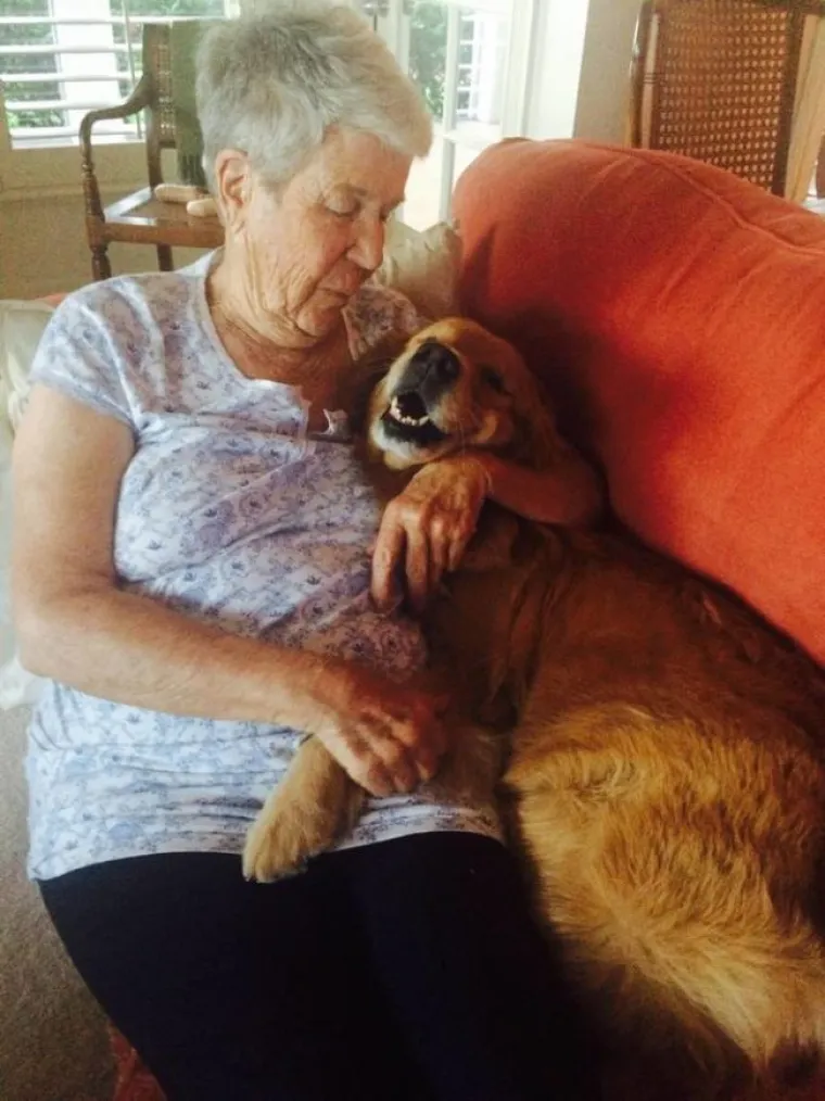 PRESLATKE FACE KOJE ĆE RIJE&Scaron;ITI SVE VA&Scaron;E PROBLEME: Zlatni retriveri idealna su terapija ba&scaron; za sve