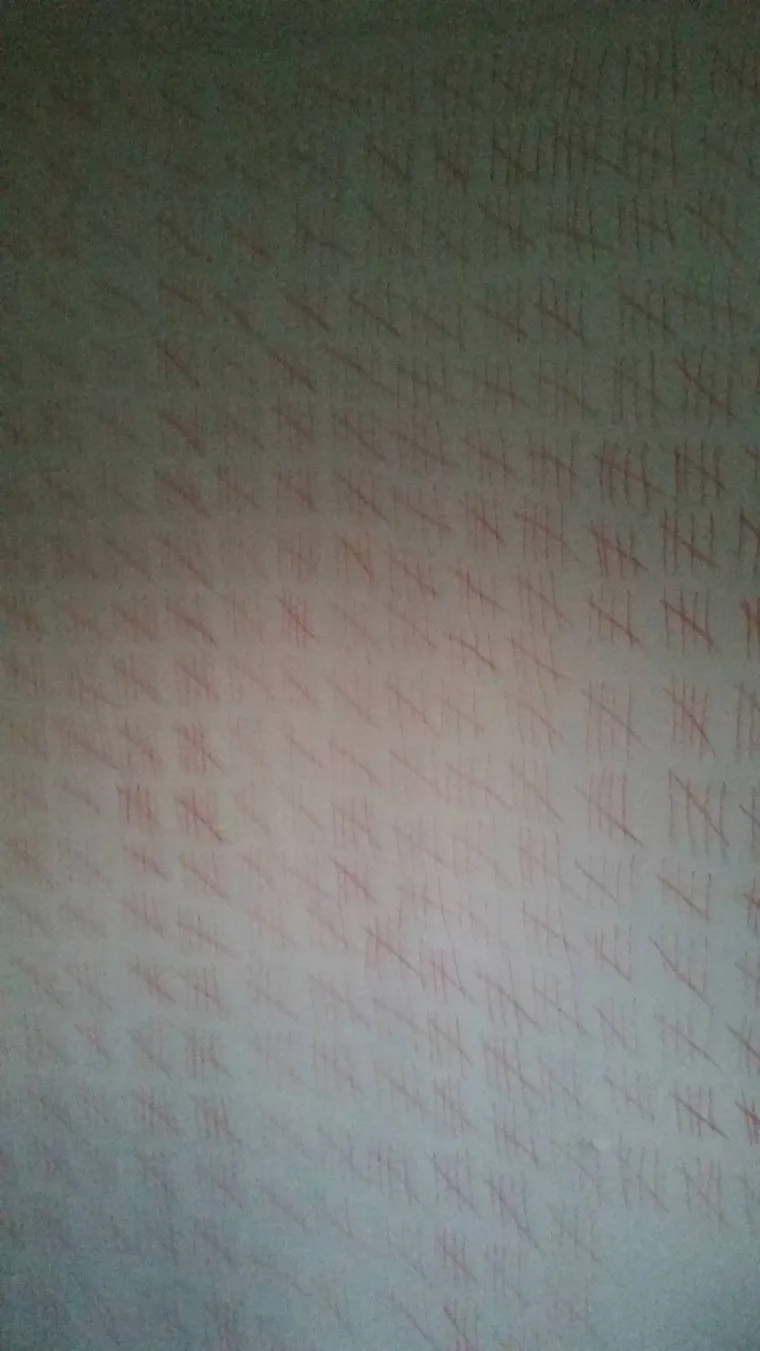 Točnije, po&scaron;arane zidove.