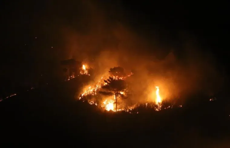 Požar kod Skradina opasno se približio kućama