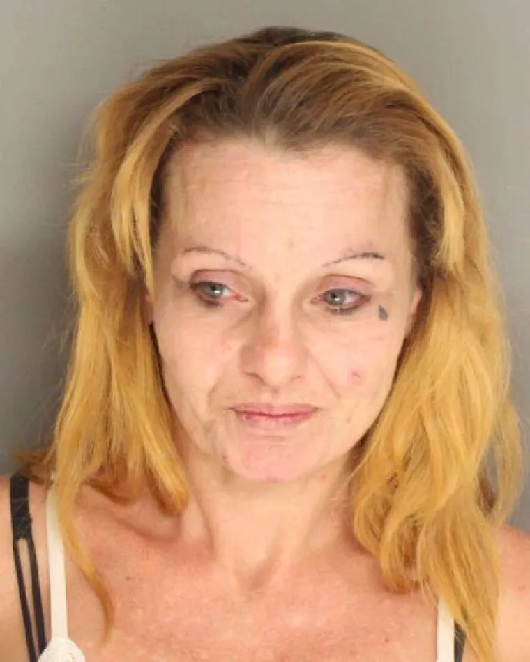 AMERI NJIMA PLAĆAJU ZA SEKS: Ne želimo uopće znati kako tek izgledaju klijenti...