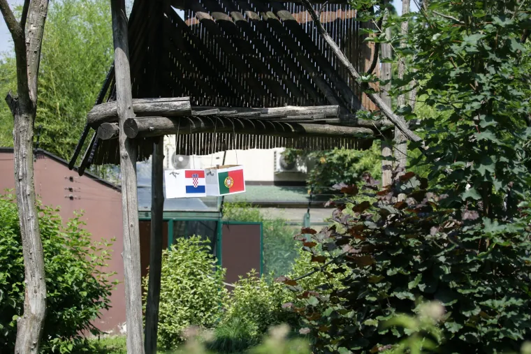 Nepogre&scaron;ivi gibon Kenti predviđa jo&scaron; jednu pobjedu: Vatreni će Portuglace poslati doma