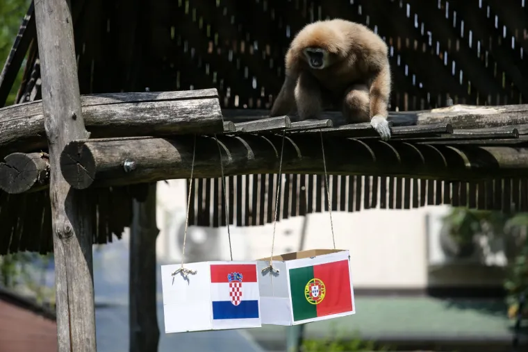 Nepogre&scaron;ivi gibon Kenti predviđa jo&scaron; jednu pobjedu: Vatreni će Portuglace poslati doma
