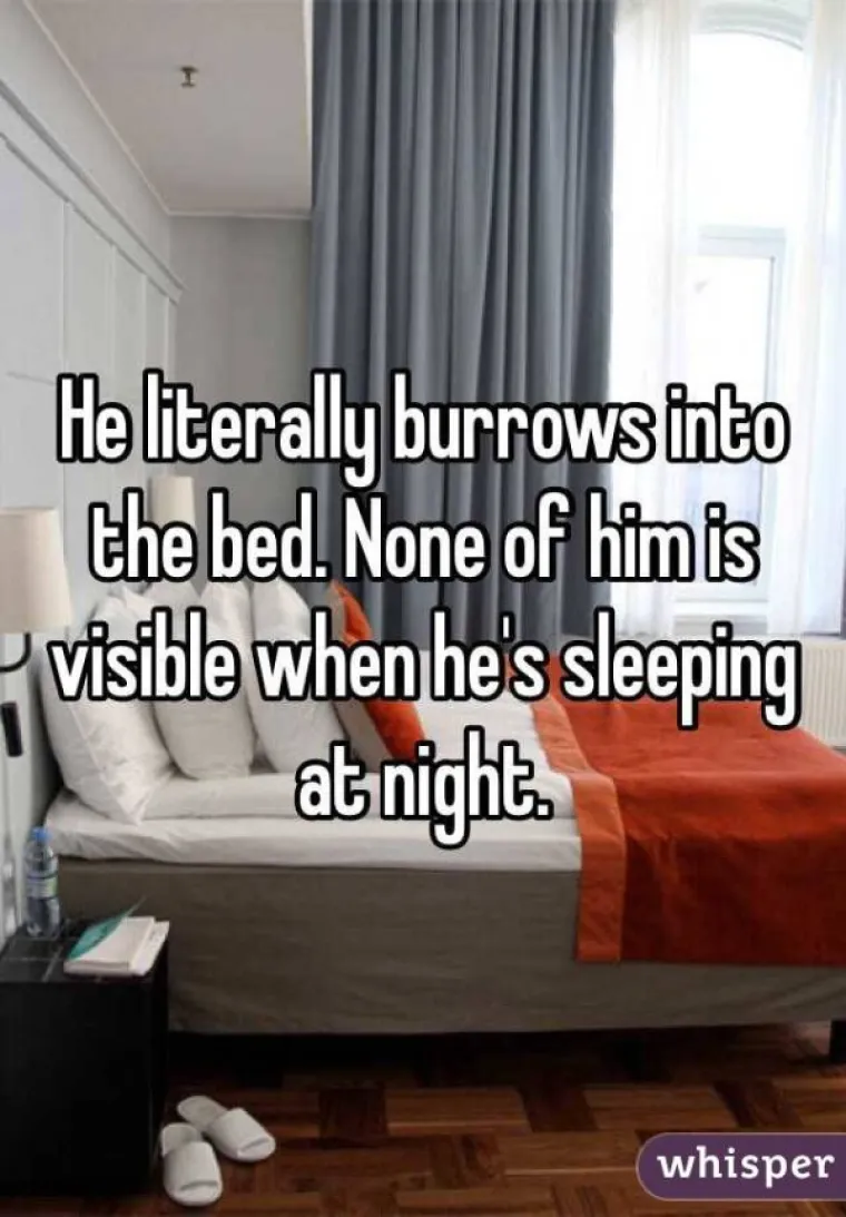 On se doslovno ukopa u krevet. Ne možete ga uopće vidjeti kada spava.