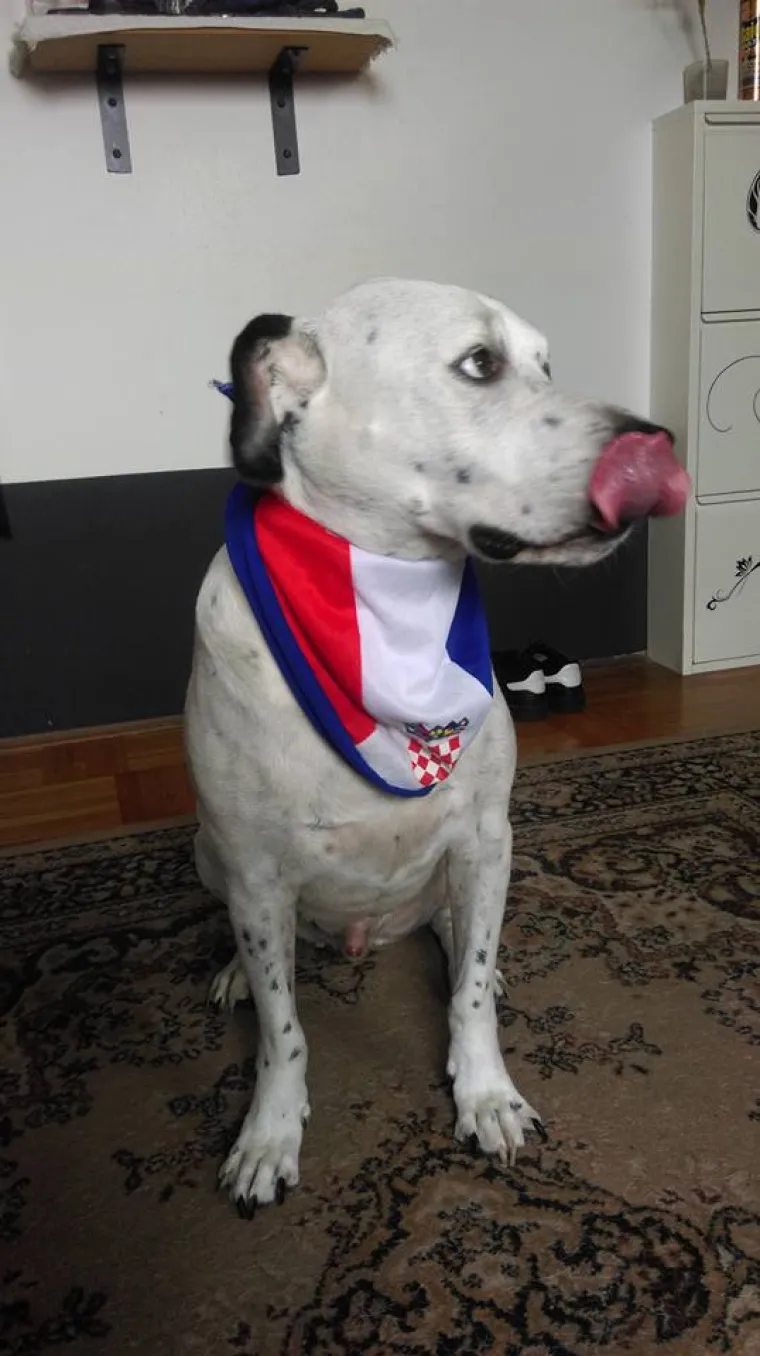 Čak nam je i on poslao ovu ludu fotku. Da, vatreno ludilo zavladalo je Hrvatskom.