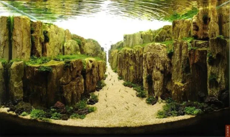 RASHLADITE SE UZ OVE PRIZORE RAJA U VODI: Ako se previ&scaron;e udubite, mogli biste se utopiti