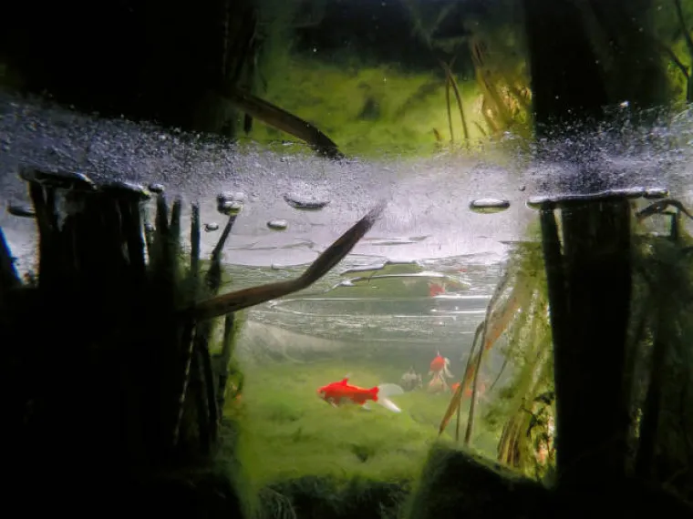 RASHLADITE SE UZ OVE PRIZORE RAJA U VODI: Ako se previ&scaron;e udubite, mogli biste se utopiti