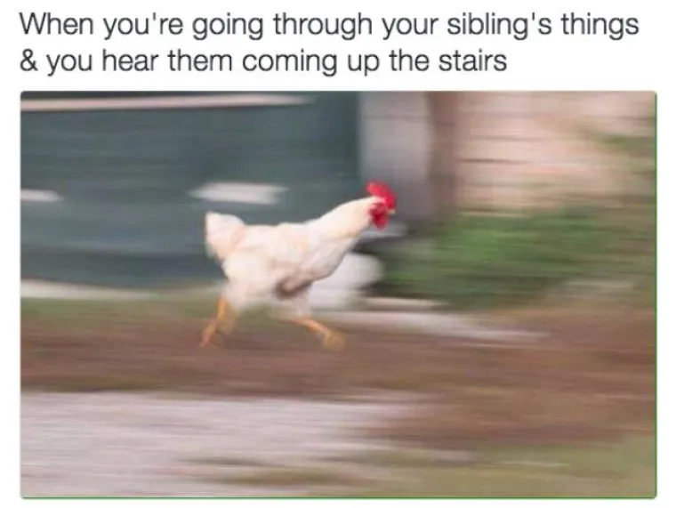 Postanete savr&scaron;en &scaron;pijun, a ovako izgledate kada kopate po stvarima svojeg brata ili sestre i čujete da se približava.