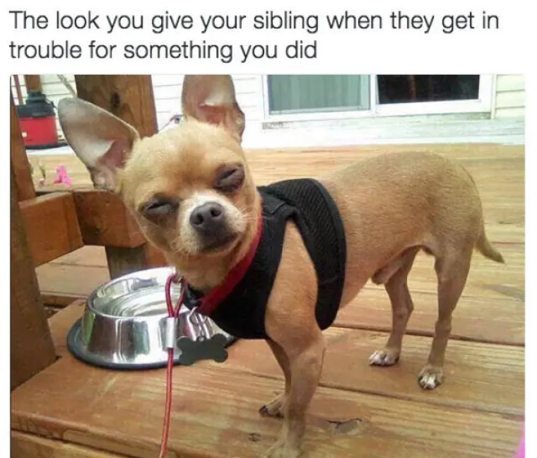 Pogled koji uperite u njih kada nastradate zbog nečeg &scaron;to su oni napravili.